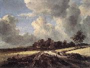 RUISDAEL, Jacob Isaackszon van Wheat Fields dh oil painting on canvas